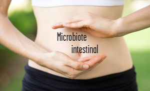 Le Microbiote Intestinal, Un Allié Indispensable Pour Notre Santé - I-Share